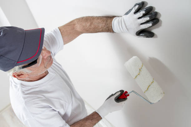 Best Mold-Related Health Consultation  in Pinehurst, ID