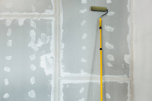 Best Comprehensive Air Testing for Mold Contaminants  in Pinehurst, ID