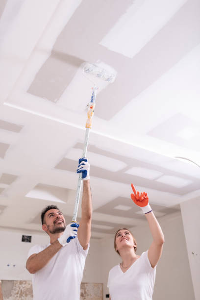 Best Mold Prevention Services  in Pinehurst, ID